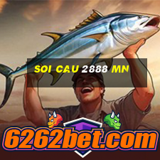 soi cau 2888 mn