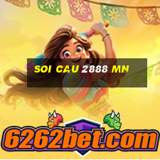 soi cau 2888 mn