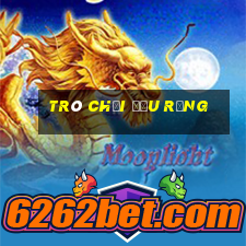 trò chơi đấu rồng