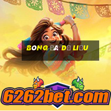 bóng đá dữ liệu